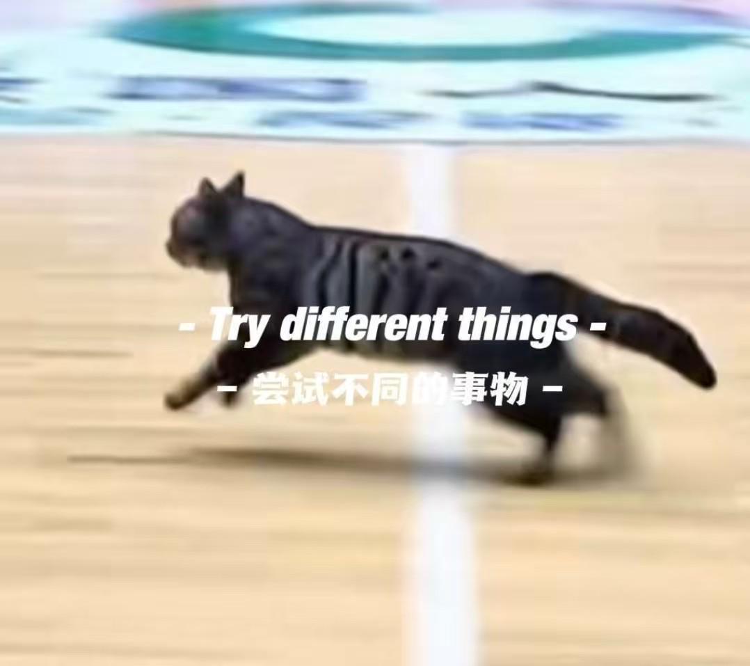 九游体育官网入口-猫猫也想打球，广东四川CBA比赛中场地内跑进一只小猫